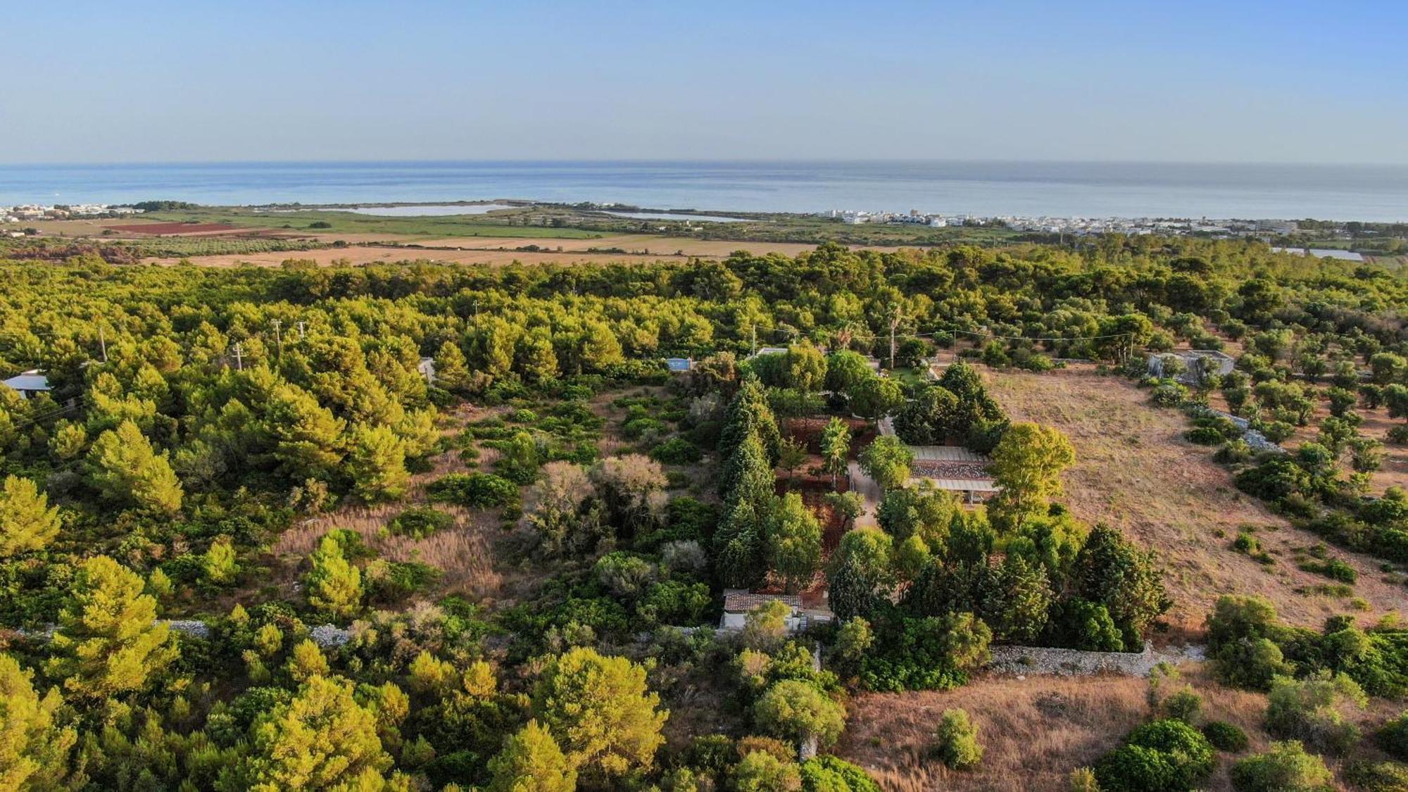 Allu Ruvezzu Torre Mozza Exterior foto